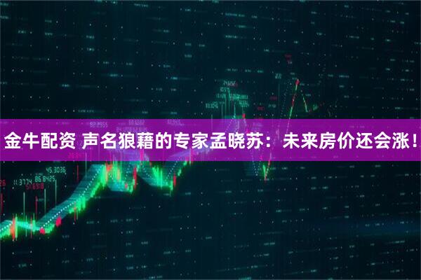 金牛配资 声名狼藉的专家孟晓苏：未来房价还会涨！
