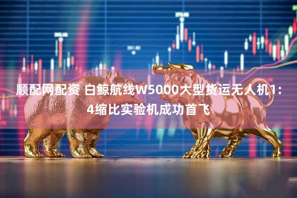 顺配网配资 白鲸航线W5000大型货运无人机1:4缩比实验机成功首飞